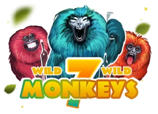 vs7monkeys_jp.webp