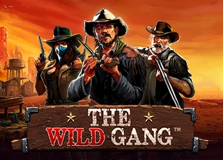 vswayswildgang.webp